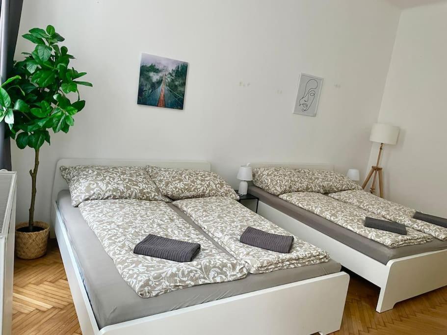 Apartamento 70m2 Premium With Terrace & Free Parking *