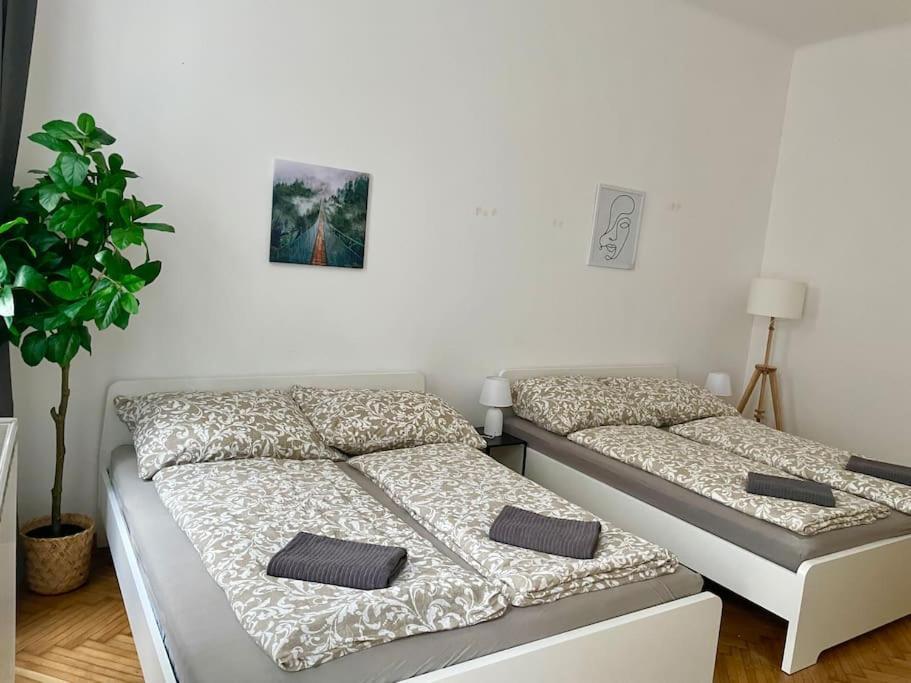 Apartamento 70m2 Premium With Terrace & Free Parking Viena